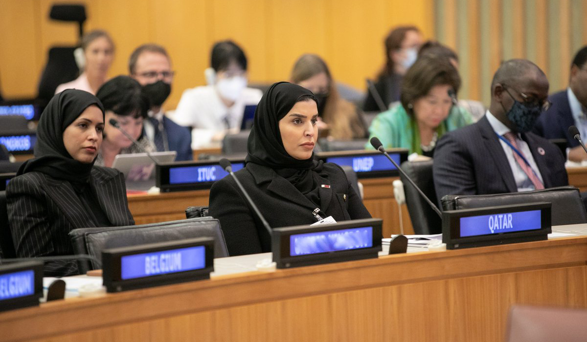 UN Meeting on Social Protection